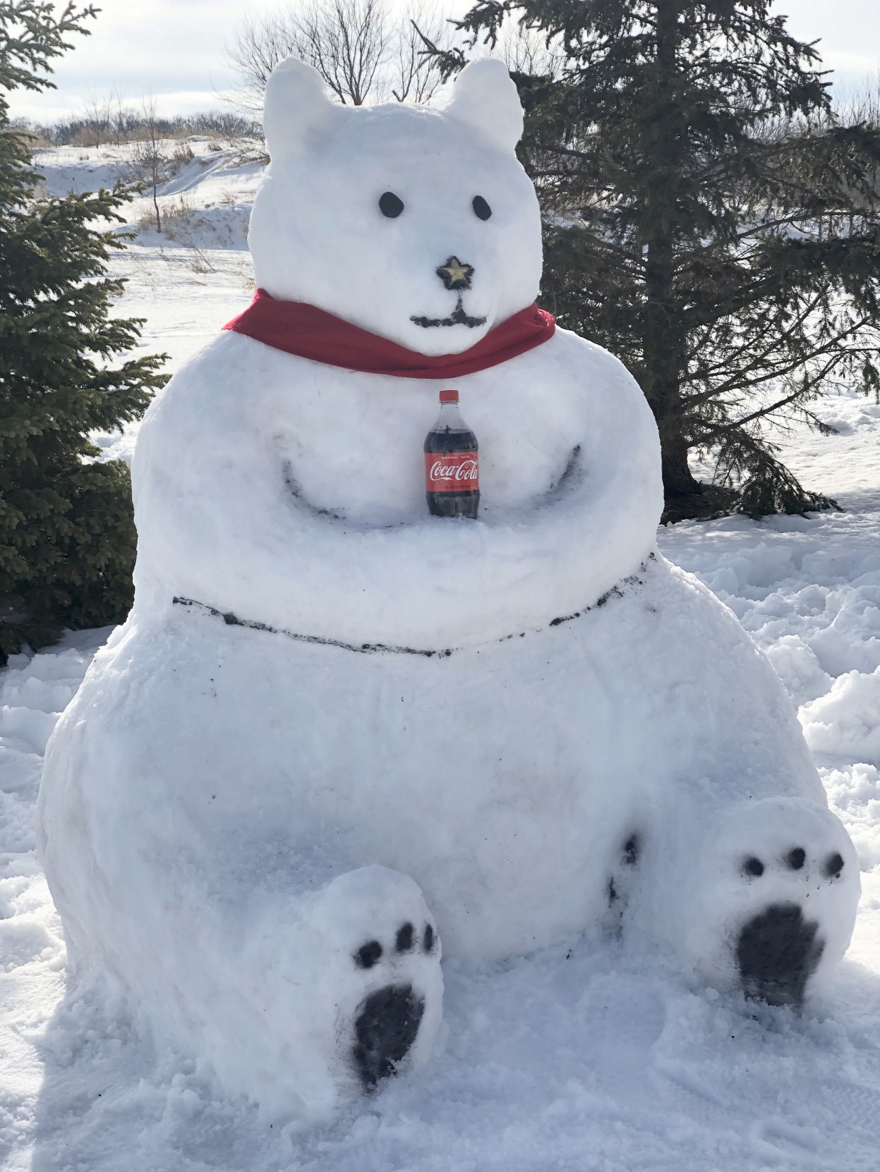 Cola Bear 2.jpg
